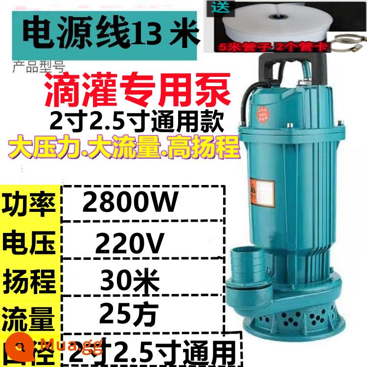 Hộ gia đình nông nghiệp 220v ao cá máy bơm nước chìm nhỏ 2,5 inch 3 inch 4 inch 1 máy bơm nước sạch nâng cao và lưu lượng lớn - Model phổ thông 2 inch 2,5 inch 2800W [nâng 30 mét 25 mét khối] Đường dây 220V 13 mét