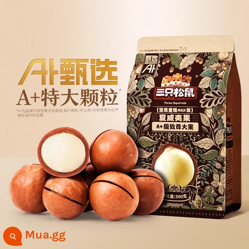 Hàng mới về [Three Squirrels_Macadamia Nuts 500g] Đồ ăn nhẹ bổ dưỡng dạng kem Trái cây và hạt sấy khô cực lớn - [A+ Selection-1kg] Đường kính ≥ 26mm