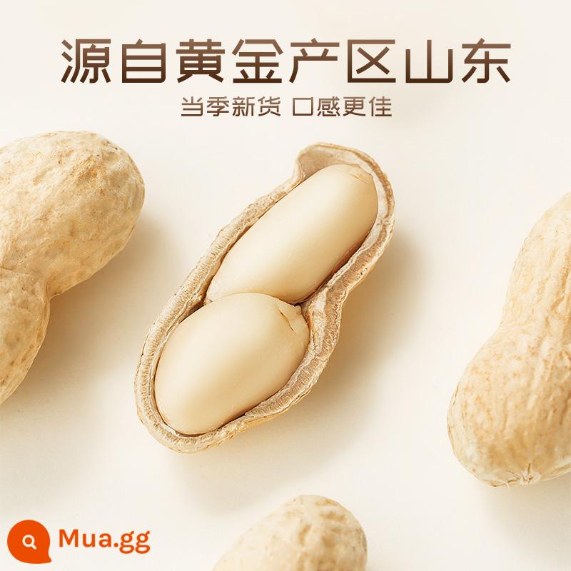 [Ba con sóc_Đậu phộng tỏi 500g] Đậu phộng rang nguyên vỏ, đồ ăn nhẹ tươi ngon cho bữa ăn nhẹ - [2kg/10,9 nhân dân tệ mỗi catty] Hương vị tỏi_mặn và giòn