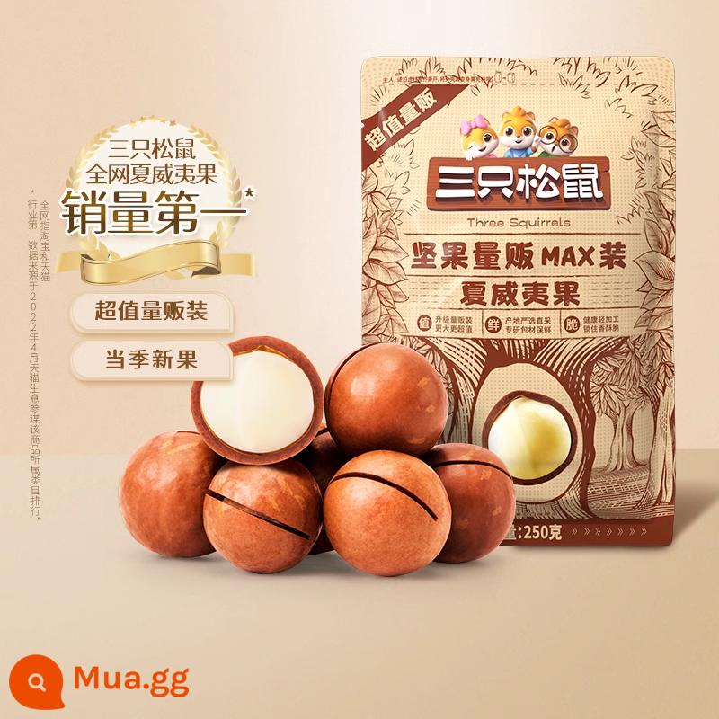 Hàng mới về [Three Squirrels_Macadamia Nuts 500g] Đồ ăn nhẹ bổ dưỡng dạng kem Trái cây và hạt sấy khô cực lớn - [Nửa catty-1 túi/250g]