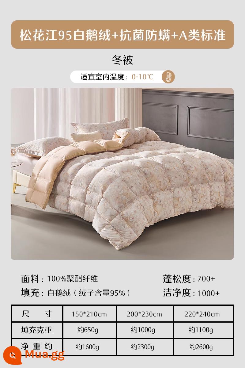 Goose quay của Mercury đã giảm xuống bởi 95 White Goose Velvet Winter đã bị dày lên bởi chiếc chăn mùa xuân và mùa thu vào mùa đông và điều hòa không khí ấm áp. - Chăn mùa đông [95% lông ngỗng trắng Songhuajiang + Tiêu chuẩn loại A]