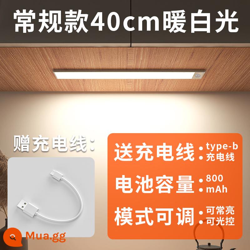 Edron cảm ứng cơ thể con người có thể sạc lại thanh ánh sáng tủ rượu đèn led tủ quần áo tổng thể tủ dài dải tủ giày không dây hút từ tính tự dính - Model siêu mỏng-Ánh sáng trắng ấm 40cm [hai chế độ + sạc/hút từ tính]