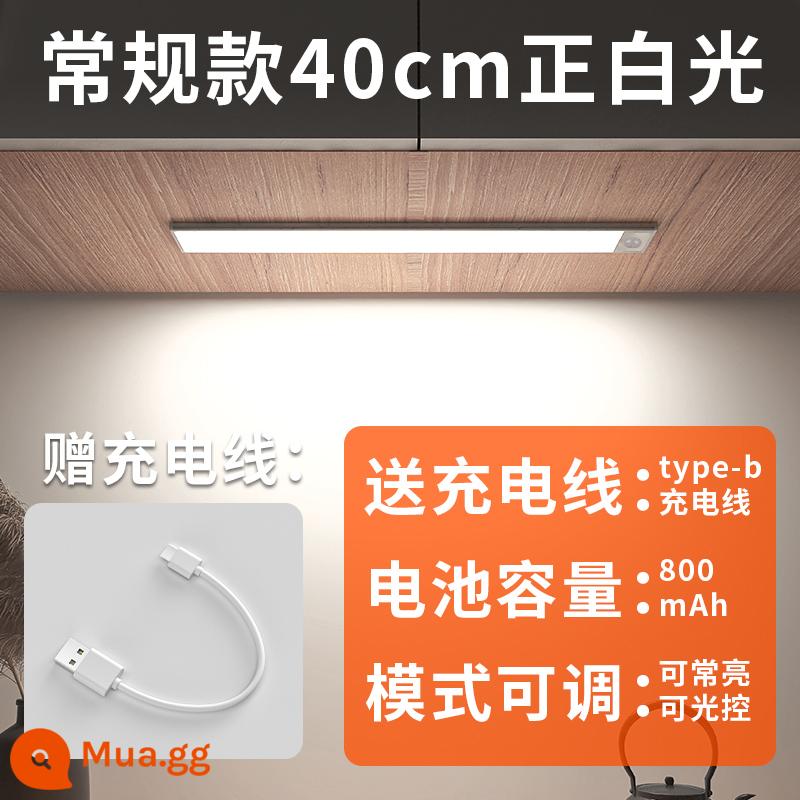 Edron cảm ứng cơ thể con người có thể sạc lại thanh ánh sáng tủ rượu đèn led tủ quần áo tổng thể tủ dài dải tủ giày không dây hút từ tính tự dính - Model siêu mỏng - Ánh sáng trắng tinh khiết 40 cm [hai chế độ + sạc/hút từ tính]