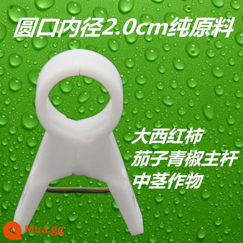 Nhà kính cà chua cà chua dưa chuột clip treo cây con clip dây nho buộc đặc biệt zucchini fu cây nho rau treo clip cây nho - Nguyên liệu thô 2.0 đặc màu trắng sữa 1000 miếng