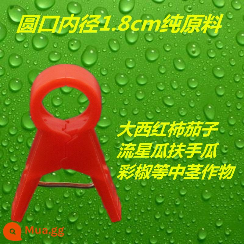 Nhà kính cà chua cà chua dưa chuột clip treo cây con clip dây nho buộc đặc biệt zucchini fu cây nho rau treo clip cây nho - 1.8 nguyên liệu thô đặc màu đỏ tươi 1000 miếng