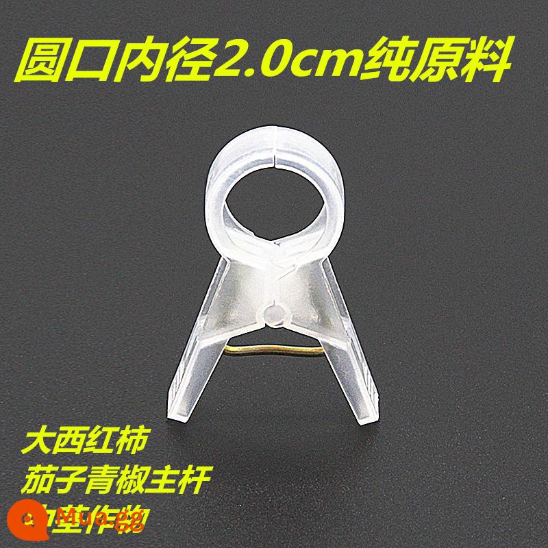 Nhà kính cà chua cà chua dưa chuột clip treo cây con clip dây nho buộc đặc biệt zucchini fu cây nho rau treo clip cây nho - Nguyên liệu thô 2.0 dày và trong suốt 1000 miếng