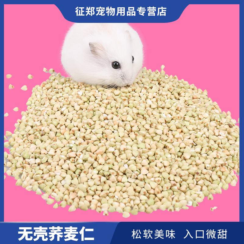 Zhengzheng pet ZZ020 hamster hạt hamster ngũ cốc hạt không vỏ bột kiều mạch snack hạt kiều mạch 100g