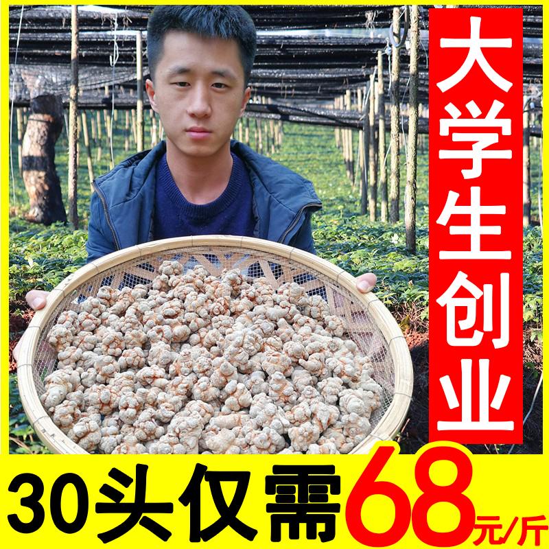 Xiaofan Vân Nam Wenshan Panax notoginseng loại đặc biệt 20 con 30 con 40 con cánh đồng hoang bảy miếng thuốc thảo dược Trung Quốc 37 bột xác thực 500g