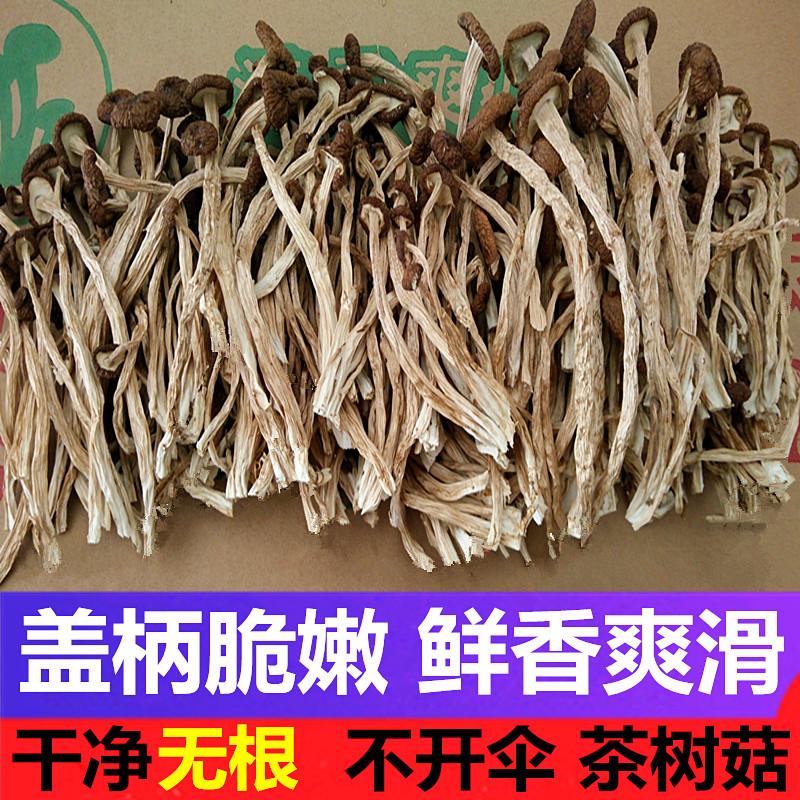 Nấm cây chè cắt gốc Guangchang sản phẩm mới không cần mở ô 500g nấm cây chè khô cắt chân tươi hàng khô một con mèo không cần mở màng