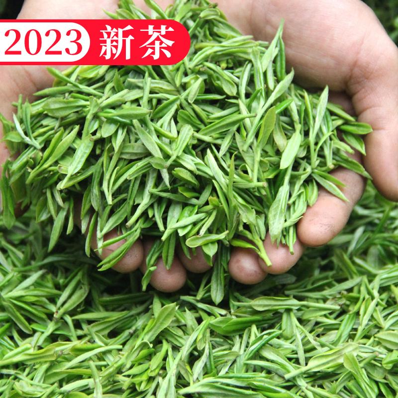 Trà xanh 2023 trà mới loại đặc biệt bình minh mùa xuân Maojian hương thơm mạnh Tứ Xuyên Mengding trà núi Yunwu Maofeng số lượng lớn 500g