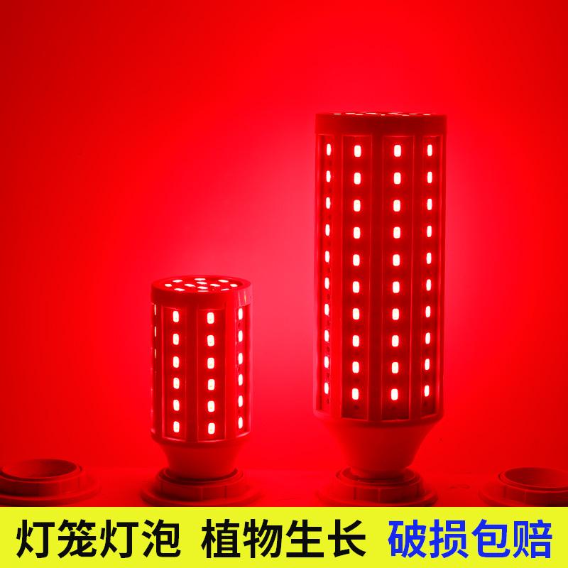 Đèn led siêu sáng màu đỏ ánh sáng đèn lồng bóng đèn ngô đỏ ánh sáng tiệc cưới bầu không khí đám cưới tăng trưởng thực vật thịt lợn ánh sáng tươi