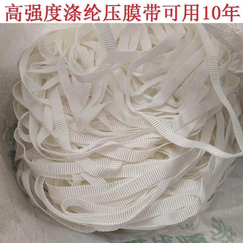 Nhà kính dày chống gió dây chuyền cán sợi polyester trắng cán đai hỗ trợ dây chuyền phim hỗ trợ dây đai phim kéo dây kéo dây đai ba lô