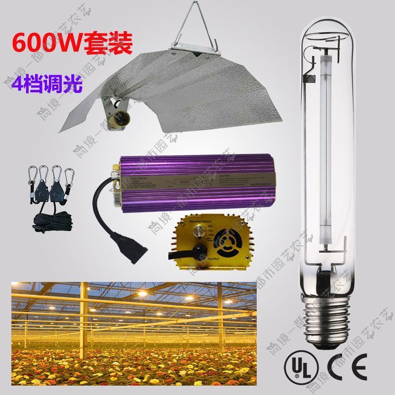 Đèn Natri 600W HPS/MH Đèn Halogen Kim Loại Ánh Sáng Bổ Sung Cho Các Nhà Máy Nông Nghiệp Đơn Giản Bóng Đèn Chỉnh Lưu Dây Buộc