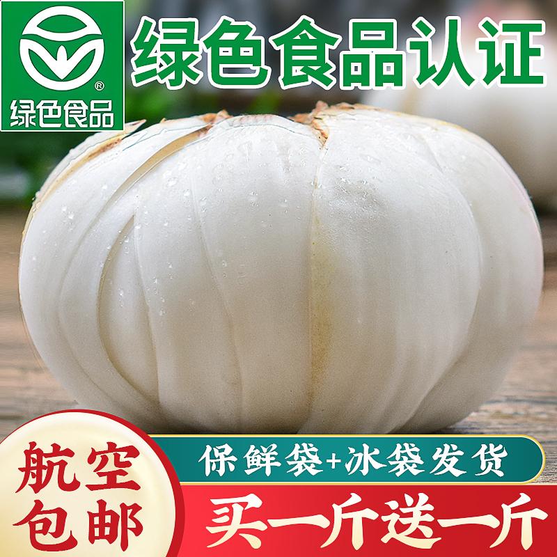 Cam Túc Lan Châu Lily Mới Đào Lily Tươi 500g Tươi Ăn Được Nguyên Ngọt Baihe Hàng Không Khô Cao Cấp Đặc Biệt Miễn Phí Vận Chuyển