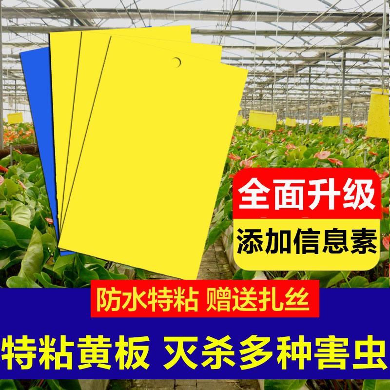 Bảng dính hai mặt bảng bẫy côn trùng màu vàng nhỏ thu hút côn trùng bay trái cây kim ong bảng dính bảng màu xanh bọ trĩ giấy dính