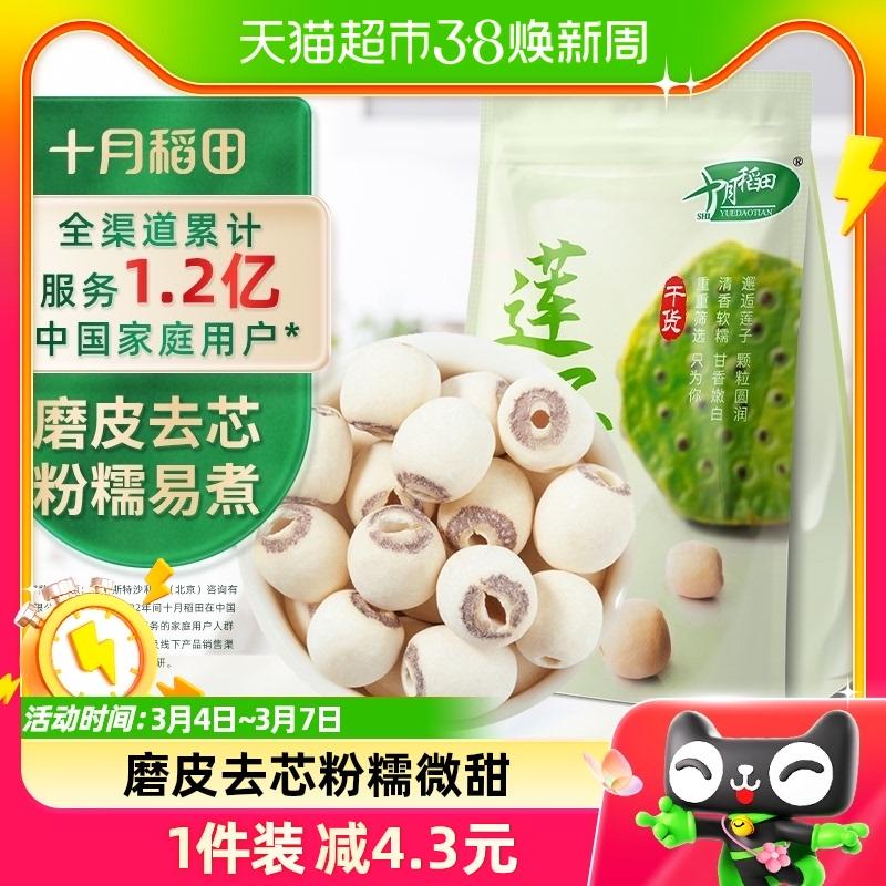 Tháng 10 ruộng lúa hạt sen 250g hàng khô bóc vỏ và bỏ lõi hạt sen hoa huệ kết hợp nhãn nấm trắng táo đỏ súp cháo