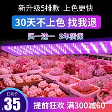 Zhengyang full-spectrum led mọng nước lấp đầy ánh sáng màu nhà nhanh chóng chống chân dài giả ánh sáng mặt trời hoa cây tăng trưởng