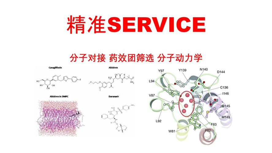 Mô phỏng động lực học protein Kết nối phân tử Autodock Sàng lọc dược điển Giảng dạy một kèm một