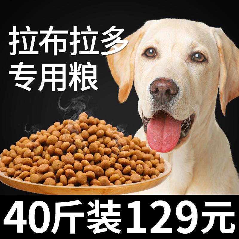 Labrador -Ded tự nhiên chó tự nhiên chó con