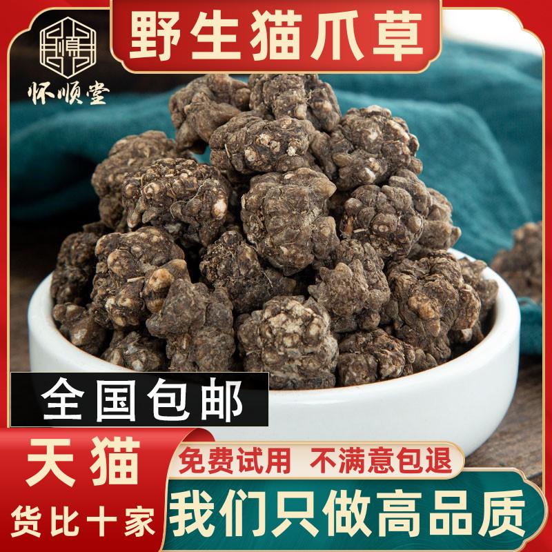 Cỏ móng mèo hoang dã 500g thuốc thảo dược Trung Quốc chính hãng y học Trung Quốc cỏ móng mèo tươi rửa sạch cỏ móng mèo mèo cào cỏ miễn phí vận chuyển