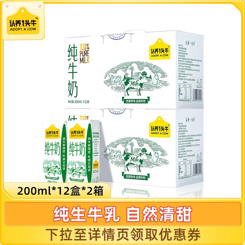 [Khuyến nghị] Sử dụng sữa bò nguyên chất béo 200ml * 12 hộp * 2 hộp sữa ăn sáng cho học sinh