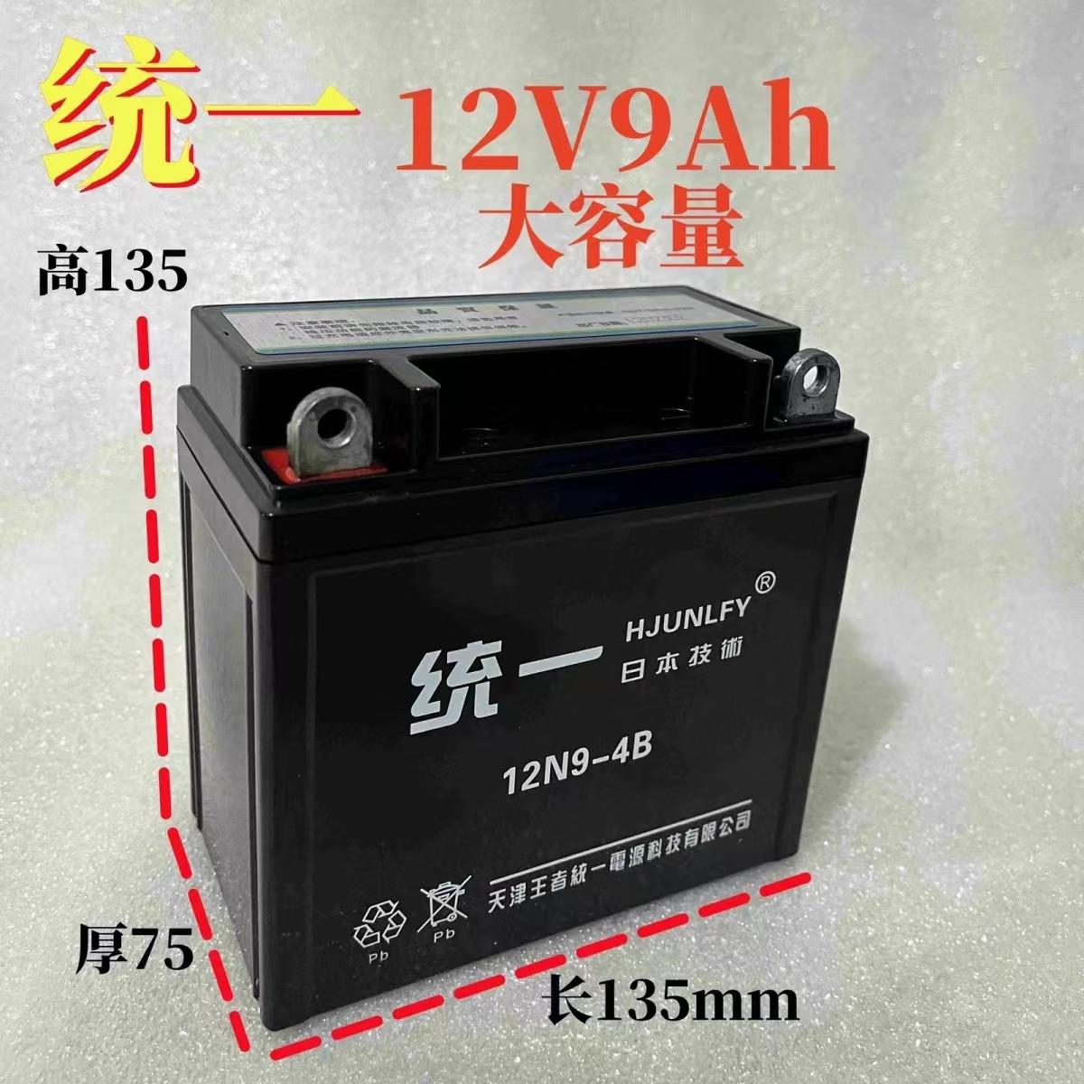 Miễn phí vận chuyển 12N9 Thương hiệu mới 12V Hoàng Tử Suzuki đa năng xe ba bánh pin xe gắn máy không cần bảo trì xe đạp cưỡi ngựa