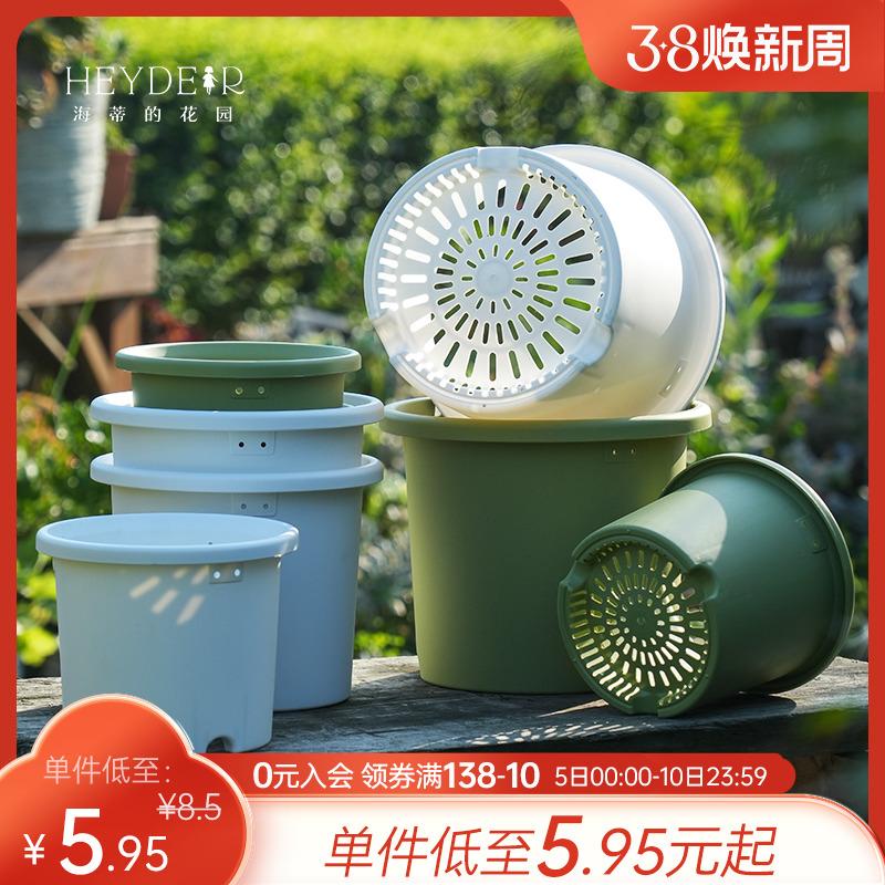 Vườn hoa Heidi's Garden Home IRISDeepot Chậu hoa mọng nước Alice Chậu hoa Cây nhựa