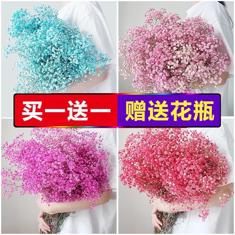 Bó hoa khô Gypsophila, hoa thật, sấy khô, bó cực lớn tự nhiên, tươi số lượng lớn, bán theo kg, bình trang trí phòng khách