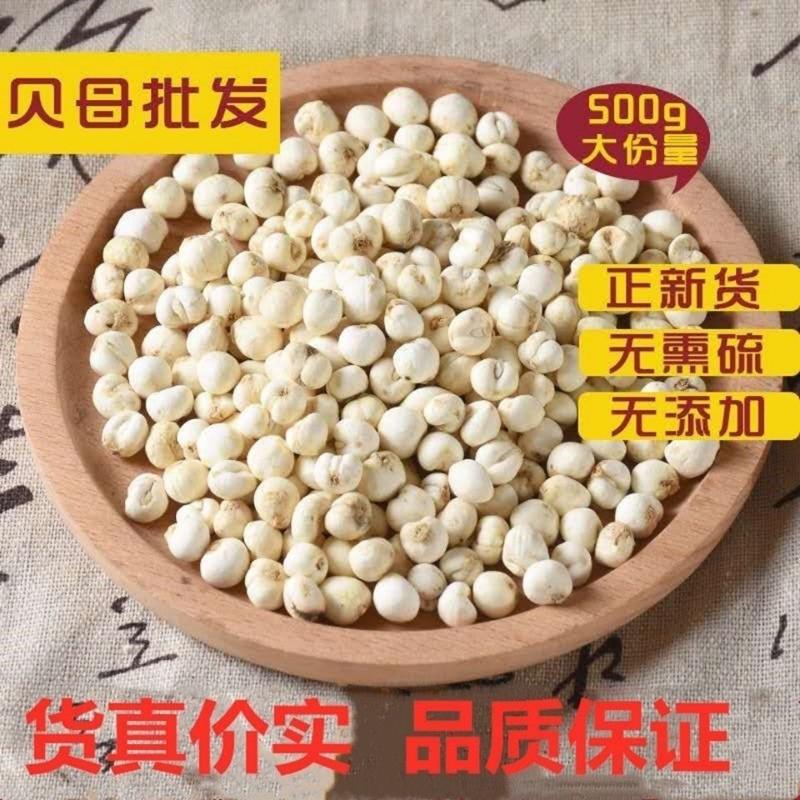 Chuan Fritillaria 100g miễn phí vận chuyển hoang dã siêu đích thực Bột Fritillaria Tứ Xuyên trị ho làm dịu phổi làm ẩm thuốc thảo dược Trung Quốc không chứa lưu huỳnh Chuan Fritillaria