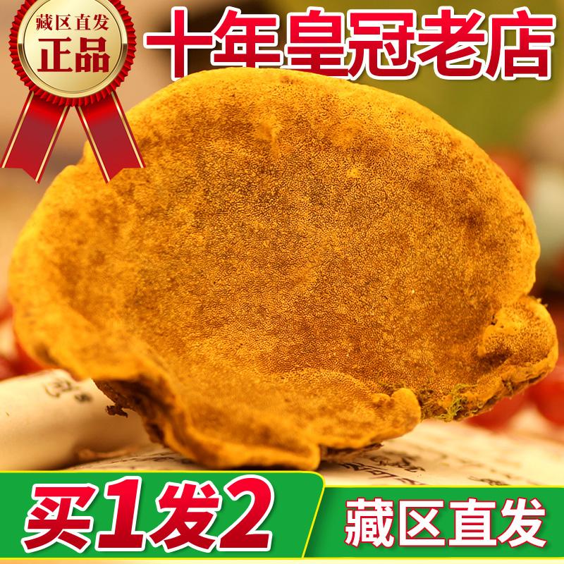 Tây Tạng tóc thẳng hoang dã Phellinus ganoderma lucidum khu tự trị chính hãng Tây Tạng Xiaonu 13 năm tập trung vào Phellinus một con mèo tổng cộng 500g