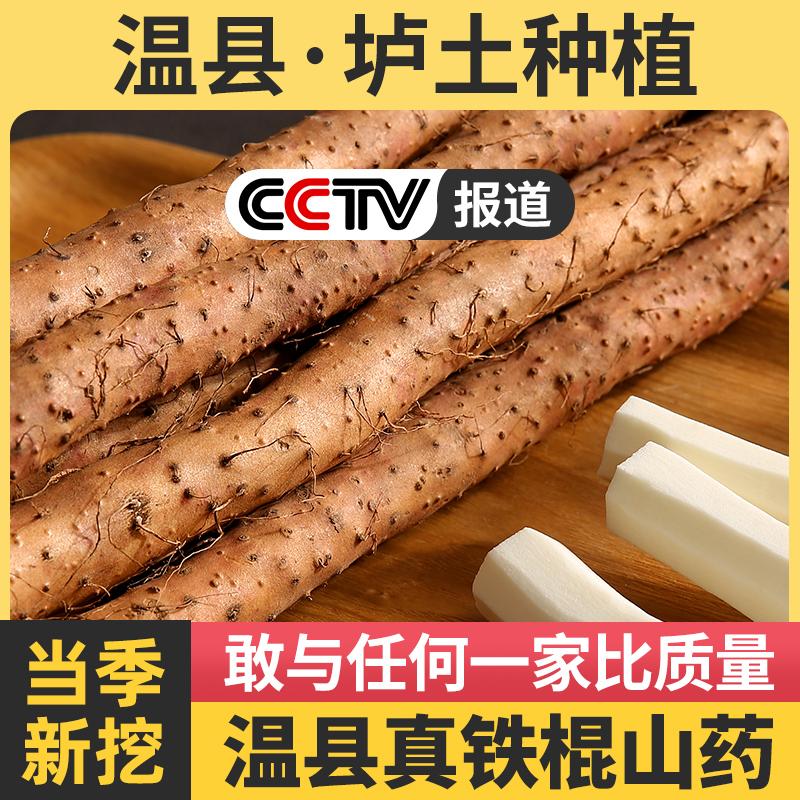 Thanh sắt Loam khoai lang đích thực Hà Nam Jiaozuo Wenxian thanh sắt Hoài Sơn khoai lang tươi 5 catties siêu đầy đủ hộp