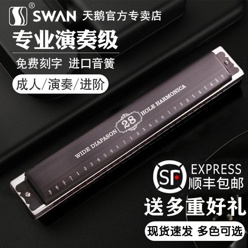 Đức nhập khẩu sậy thiên nga 28 lỗ có dấu kèn harmonica dành cho người lớn chơi chuyên nghiệp cấp mới bắt đầu Phím C đa âm 24 lỗ