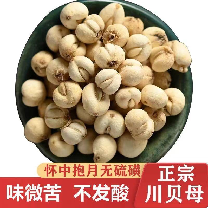 100g Chuan Fritillaria Chuan Fritillaria Miễn phí vận chuyển Tứ Xuyên Chính hãng Tứ Xuyên Fritillaria Hạt Wild Chuan Fritillaria Bột Loại đặc biệt dành cho trẻ em Y học cổ truyền Trung Quốc