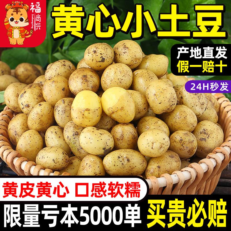 [Giao hàng tận gốc] Rau sạch tự trồng Enshi farm Khoai tây nhỏ trái tim vàng Enshi 5/10 cân