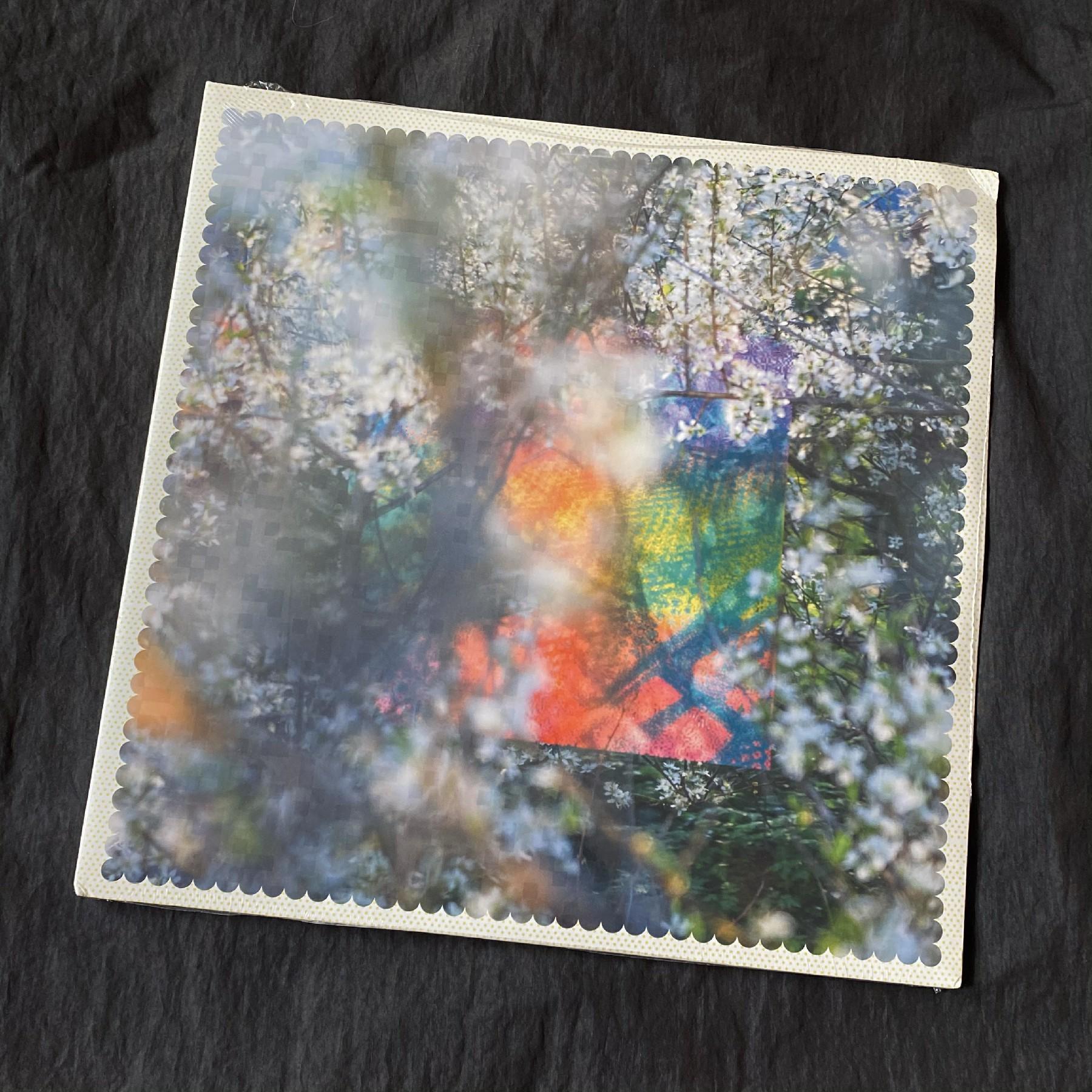 Spot Four Tet -sixteen Oceans Vinyl 2LP