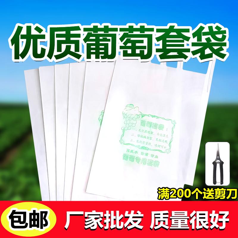 Túi nho túi giấy đặc biệt túi trái cây chống mưa chống côn trùng thoáng khí túi nho chống sương mù chim sen túi trong mờ