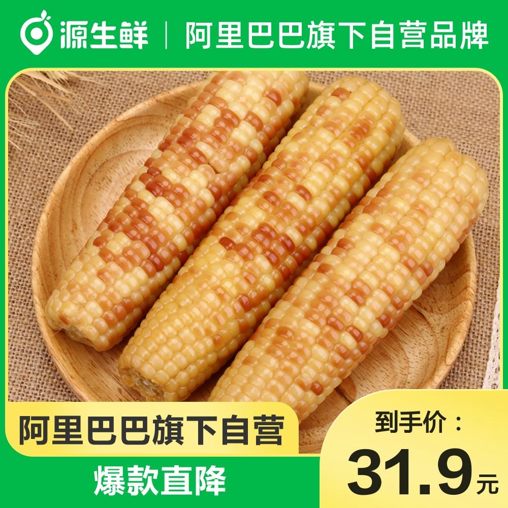 Yuansheng tươi Vân Nam Đại gia đình ngô thơm nếp nhỏ 3 cân một quả 100g + thay bữa ngũ cốc linh tinh ngũ cốc ngũ cốc ngũ cốc hút chân không