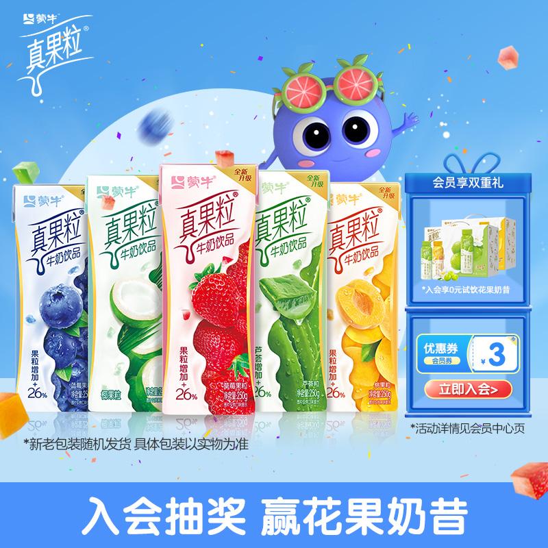 [Pre-sale] Real Fruit Blueberry/Dâu tây/Đào vàng/Nha đam/Nước cốt dừa 250g*12 hộp