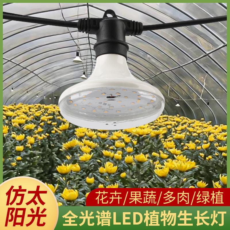 Đèn LED trồng cây mô phỏng ánh sáng mặt trời thanh long hoa cúc cây giống dâu tây hoa phong lan cây xanh lấp đầy ánh sáng hoa hồng rêu