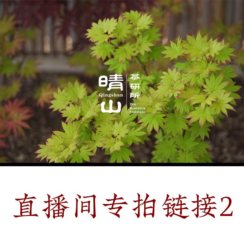 Cây phong, cây phong, cây phong trắng, Acer palmatum, quạt tròn, cây phong đỏ, trăng ẩn vàng, trăng thu, ban công tán lá, vườn, làm vườn Qingshan