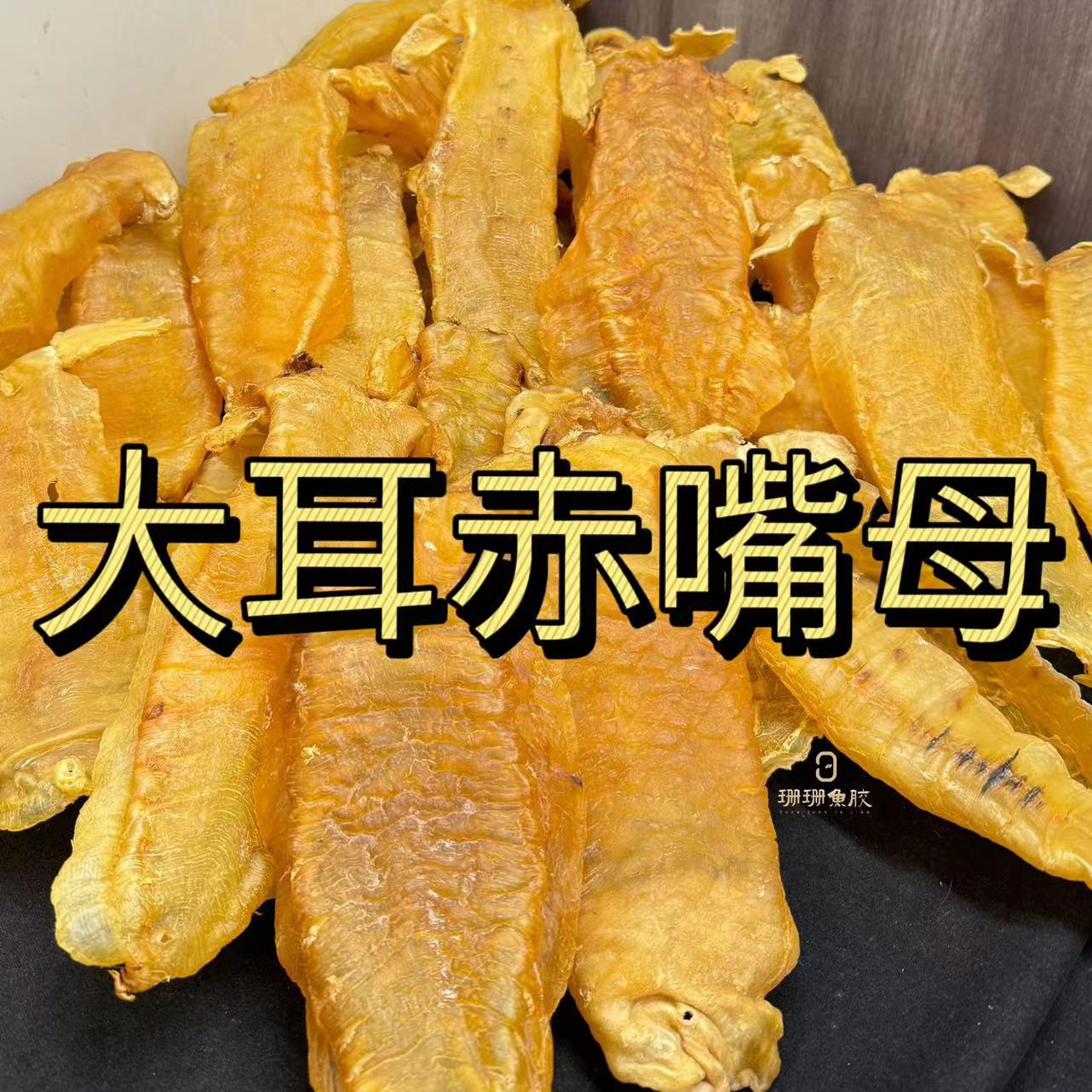 [Shanshan Fish Maw] Old Big-Eared Fish Maw, Chăm sóc toàn diện Fish Maw, Cửa hàng vật lý cũ ở Sán Đầu, Quảng Đông