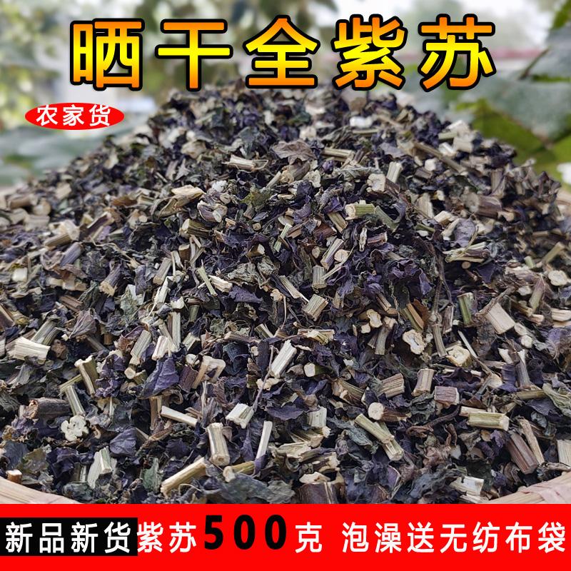 Hàng mới tía tô khô 2 mặt tía tô nguyên cành lá tía tô 500g g tắm lá thuốc bắc gửi túi vải không dệt