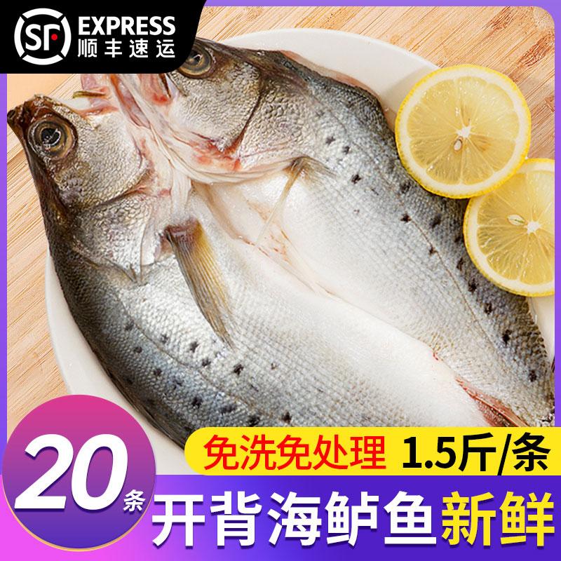 Sea Bass mở lại cá tươi đông lạnh cá trắng chuối Seven -star sea lu cá nước nướng dưới nước bán.