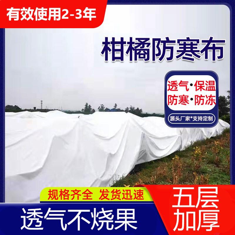 Cây ăn quả vải chống lạnh vải chống đóng băng cam quýt vải không dệt che phủ chống sương giá cho cây cối thoáng khí chống mưa cách nhiệt chống thấm phim cách nhiệt