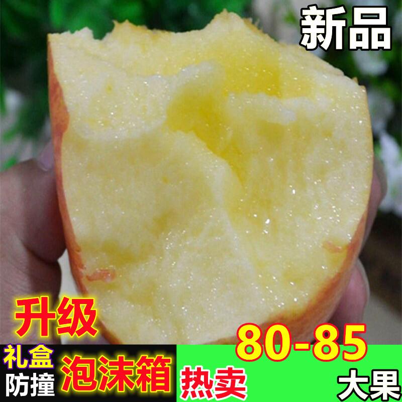 Shanxi Yuncheng Linzheng Red Fuji Daiguo tươi giòn ngọt ngọt Gangson apple apple apple 10 pound nông dân trồng trái cây