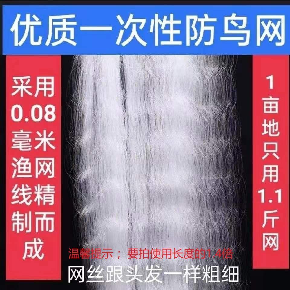 hiện vật chim đáng sợ lưới chống chim một lần lúa cây ăn quả anh đào rau vườn ban công lưới chống chim lưới trời lưới bảo vệ tỉnh