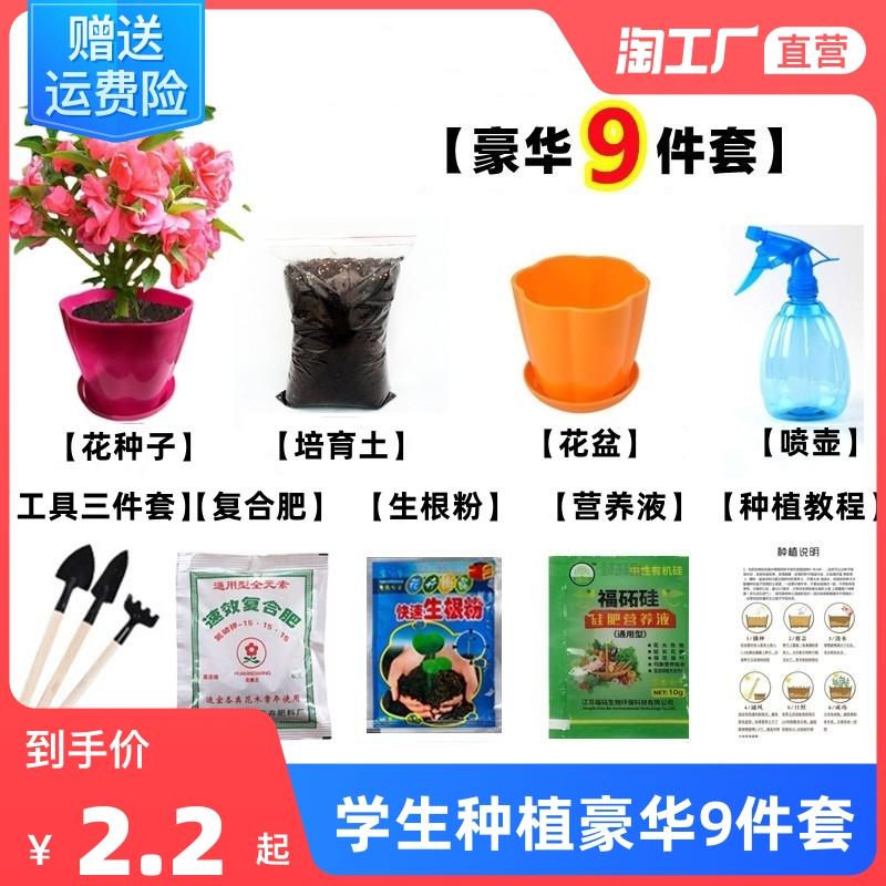 Hạt giống Impatiens bốn mùa dễ sống hoa sinh viên trồng thử nghiệm bộ hoa chậu trong nhà henna nhiều màu sắc