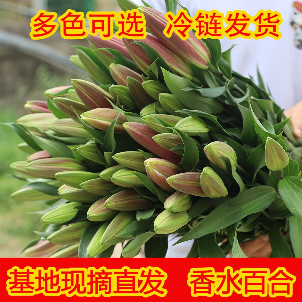 Bó hoa hương lily cơ sở Vân Nam giao hàng trực tiếp cùng thành phố giao hoa hướng dương đậu đỏ quà sinh nhật hoa thủy canh