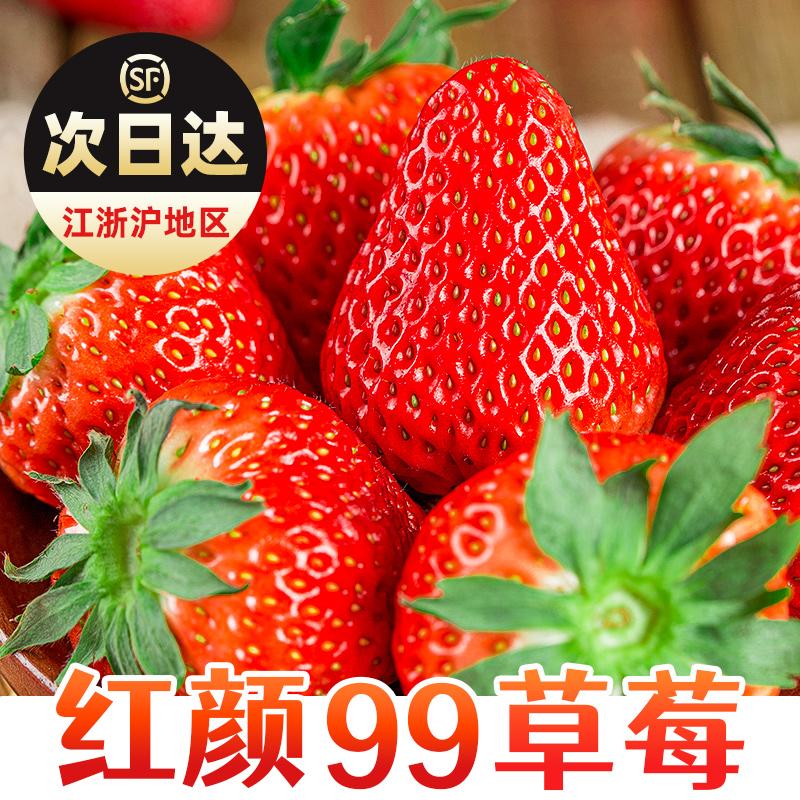 Strawberry 5 Catties Phim trái cây tươi cho mùa, miễn phí vận chuyển hộp quà vàng đen, kem phụ nữ mang thai, khuôn mặt màu đỏ trái cây lớn 99 dâu tây