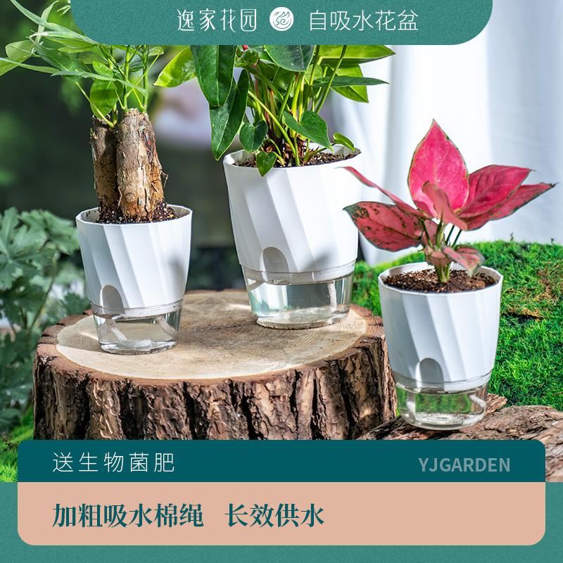 Golden Ge Flower Pot Orchid Automatic Nước hấp thụ nhựa tròn -Tưới nước không tưới nước trong ban công LAZY BAIL